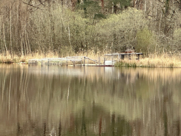 Bel étang en Sologne à louer 1500 € pour 1 saison