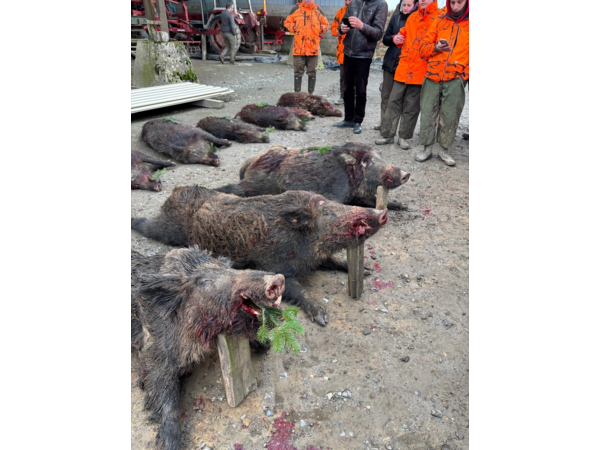 Action petits et gros 77