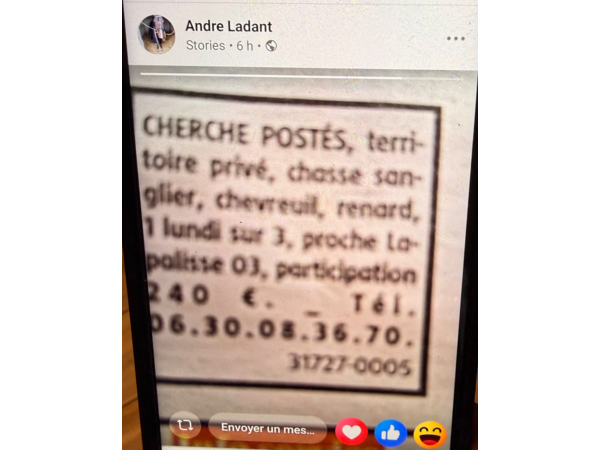Recherche chasseurs postés – territoire privé près de Lapalisse (03)