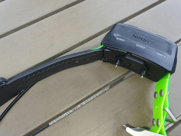 Collier GPS Garmin TT 15 pour chien de chasse – Suivi et dressage professionnel