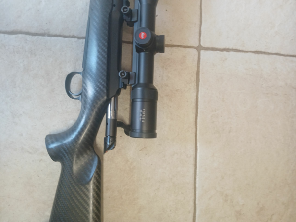 sauer