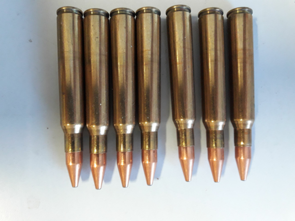cartouches RWS 7x64