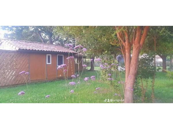 Vends chalets pour domaine de chasse