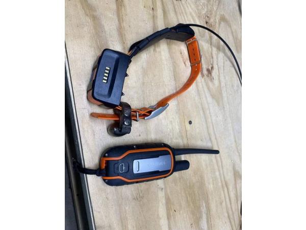 Garmin Alpha 100 avec collier tt 15