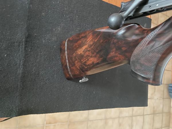 Blaser R93 8X68S