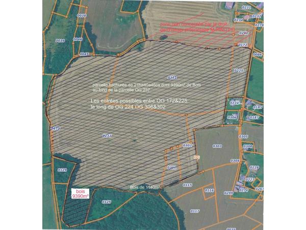 droit de chasser 21ha dont 1 ha de bois sur la commune de GAUVILLE 61550