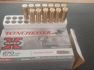 Winchester 270w power point