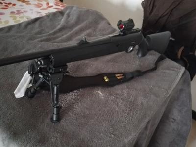 RECHERCHE CARABINE DE CHASSE