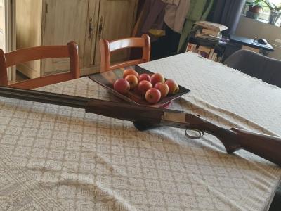 fusil Browning