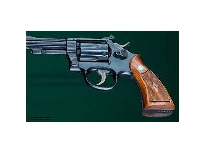 pistolet ou revolver 22 lr