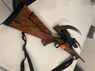 404 Wild boar édition