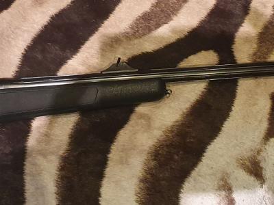 Canons blaser r93 300 win mag