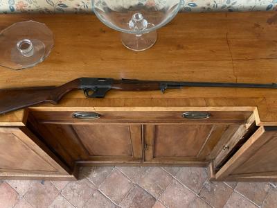 Carabine 22lr « unique » modele x51