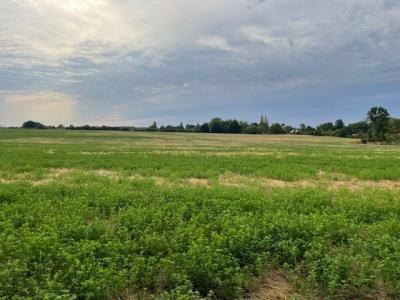Territoire de chasse dans le Perche a Louer