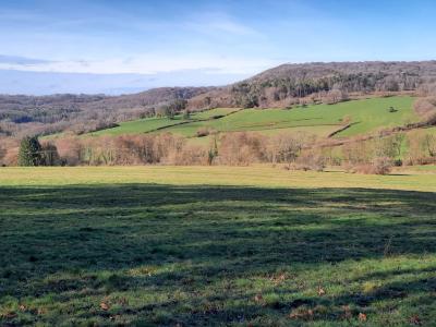 Journée de chasse sud Hte-Marne