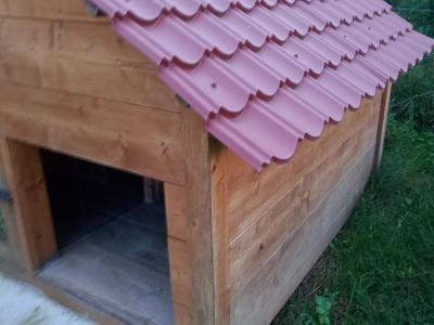 Niche à chien