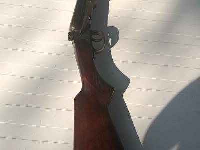 Fusils de chasse