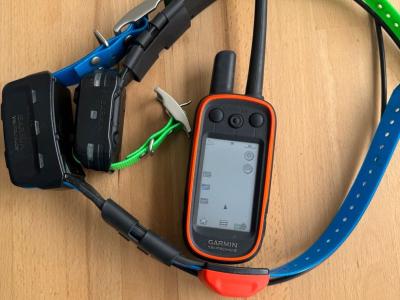 Garmin Alpha 100 avec deux colliers T5