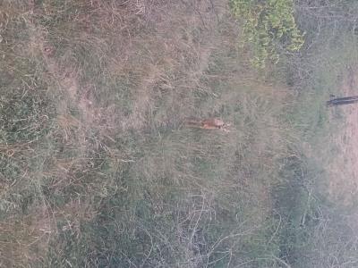 Devenir partenaire ou actionnaire de chasse