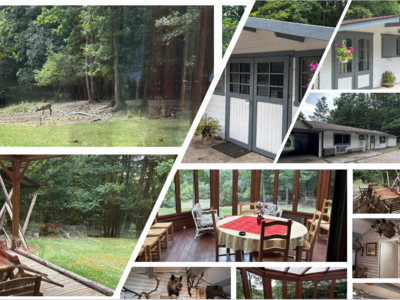 Parc de chasse, chalets et installations