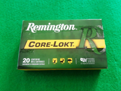 20 Cartouches 30-06 180grs