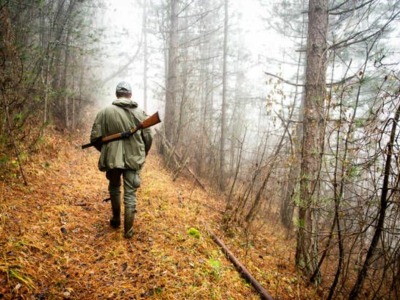 Chasse en semaine 2026/27 - Grand gibier