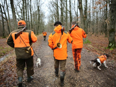 Action de chasse grand gibier - Mayenne (Laval)