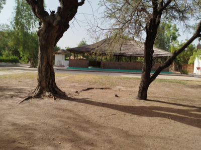 ch gestion camps de chasse senegal , gambie