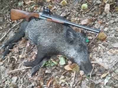 Cherche Express BLASER S2 dans tous calibres