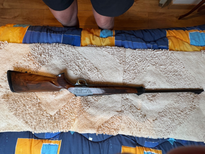 Blaser r8 luxe gravé 300 wm