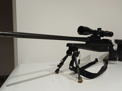 Blaser r93 338 lapua magnum