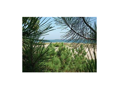 Recherche Actionnaires