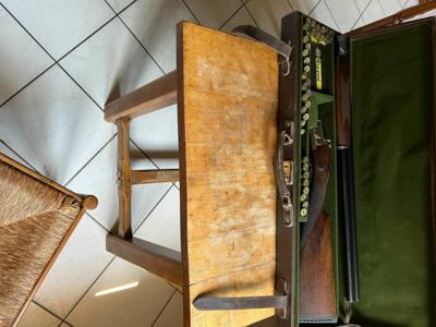 Rizzini omnion light