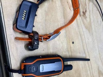 Garmin Alpha 100 avec collier tt 15