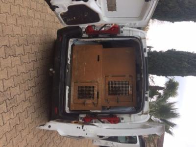 caisse de transport pour chien