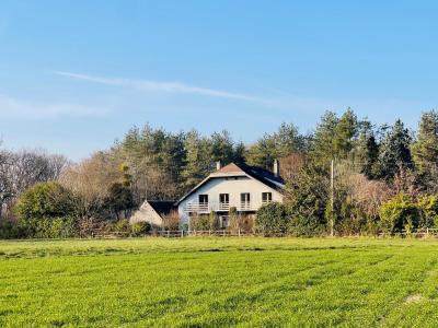 Propriété de 1.9hectares à NESPLOY 45270