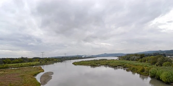 "Municipales Avignon 2026 : un candidat promet la fin des subventions pour la chasse"