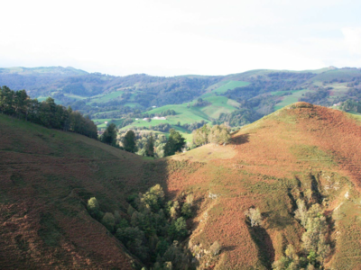 Location postes de tir au vol à la palombe